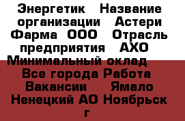 Энергетик › Название организации ­ Астери-Фарма, ООО › Отрасль предприятия ­ АХО › Минимальный оклад ­ 1 - Все города Работа » Вакансии   . Ямало-Ненецкий АО,Ноябрьск г.